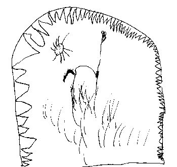 Drawing of llama.