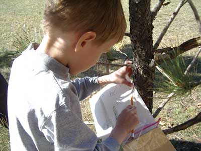 Figura 10. Niños haciendo apuntes sobre los árboles en el jardín de la escuela. 
