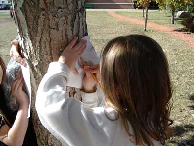 Figura 11. Niños haciendo apuntes sobre los árboles en el jardín de la escuela. 