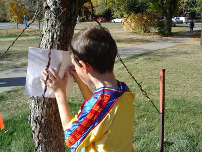 Figura 16. Niños buscando árboles enfermos. 