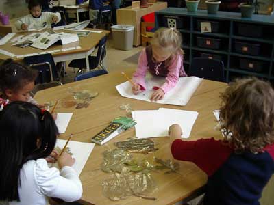 Figura 17. Niños trabajando con hojas. 