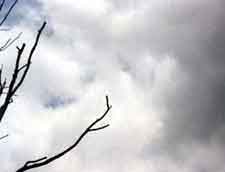 Figure 12. Photograph of clouds by 3-year-old.