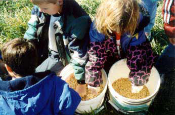 Figure 4. Children playing in the buckets of corn.