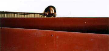 Figure 6. Brianna on top of the combine looking down.