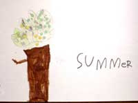 summer  tree picture