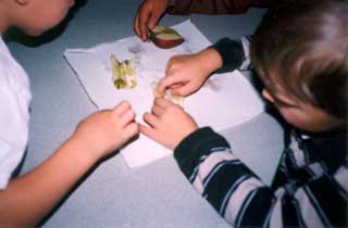 children removing seeds from apples