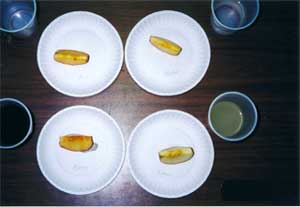 paper plates with apple slices