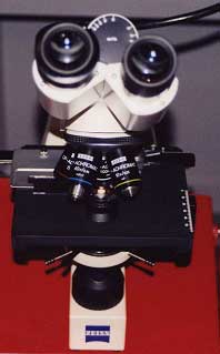 Photograph of a microscope.