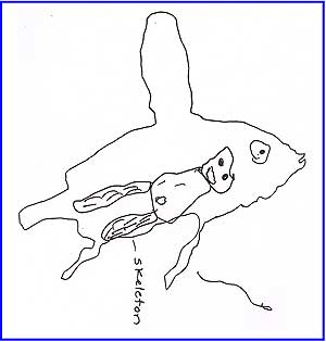 A child made a memory drawing of the inside of a fish.