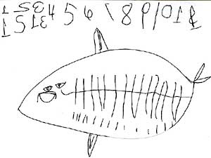 The children made bservational drawings of the fish.