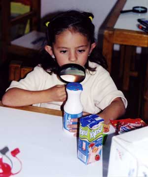 A girl examines to see if certain items contain calcium.