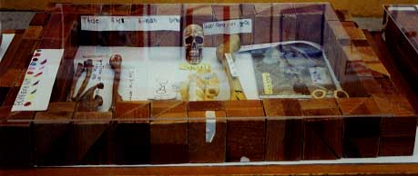 This display case included human and animal bones. The children specified which were real and which were made out of plastic.