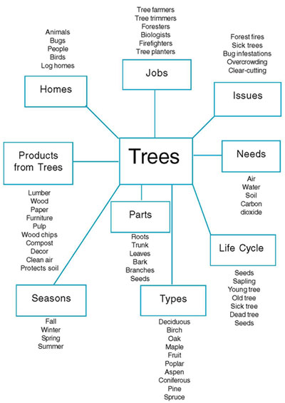 Figure 1. Planning web of the Tree Project created by the teachers.