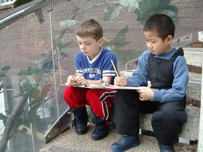 Figure 23. Boys making observational drawings of birds that live in trees. 