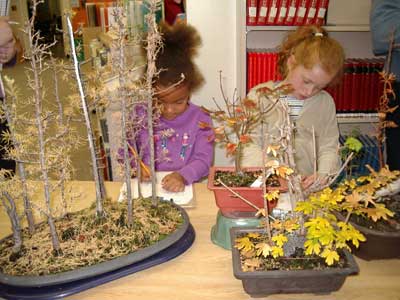 Figure 25. Children making notes about bonsai trees.