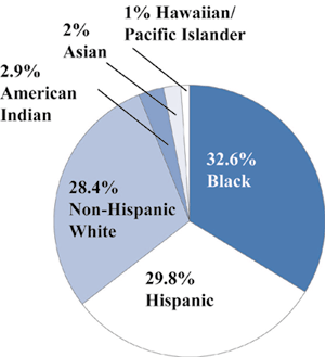 Figure 1. Racial/ethnic composition of Head Start participants.