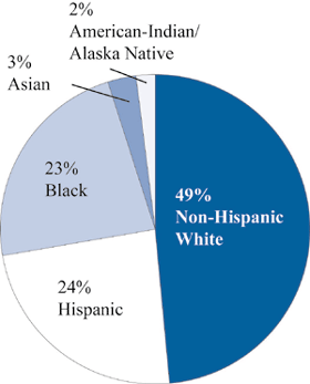 Figure 2. Racial/ethnic background of prekindergarten participants