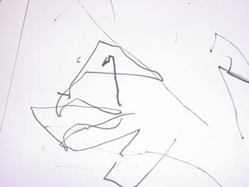 Figure 3. Jason draws the bird's claw. 