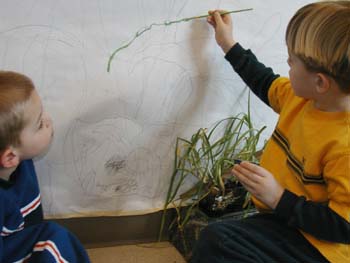Figures 5 & 6. Children work closely to paint over traced shadow lines.