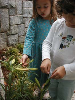 Figures 20-23. Children explore flowers in the garden.