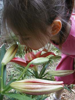 Figures 20-23. Children explore flowers in the garden.