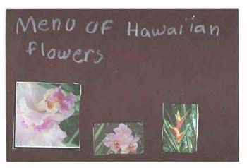 Figuras 68-69. Los niños crearon folletos acerca de las flores. 