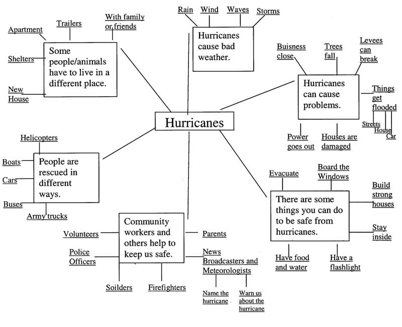 Figure 4. The teachers made a topic web about hurricanes based on the children's conversations.
